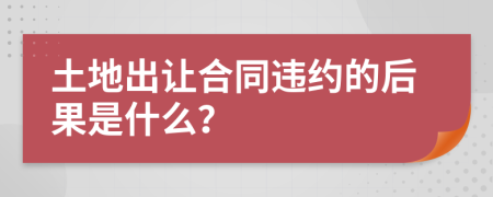 土地出让合同违约的后果是什么？