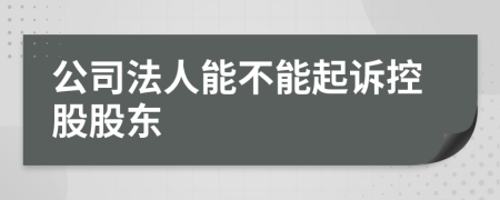 公司法人能不能起诉控股股东