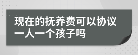 现在的抚养费可以协议一人一个孩子吗