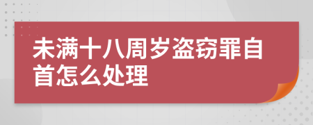 未满十八周岁盗窃罪自首怎么处理