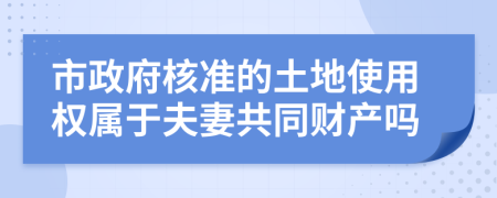 市政府核准的土地使用权属于夫妻共同财产吗