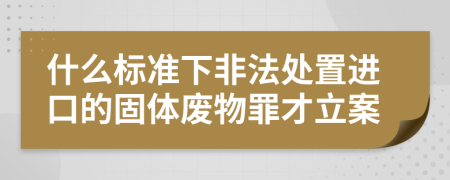 什么标准下非法处置进口的固体废物罪才立案