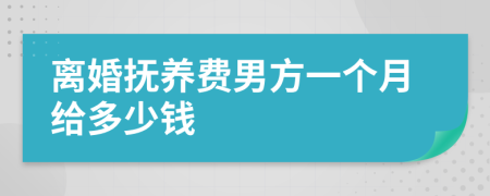 离婚抚养费男方一个月给多少钱