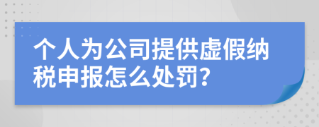 个人为公司提供虚假纳税申报怎么处罚？