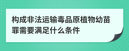 构成非法运输毒品原植物幼苗罪需要满足什么条件