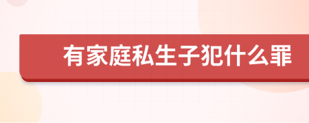 有家庭私生子犯什么罪