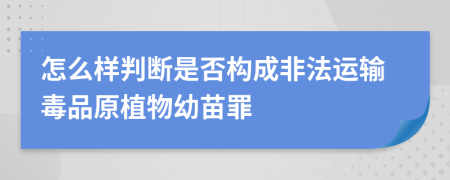 怎么样判断是否构成非法运输毒品原植物幼苗罪