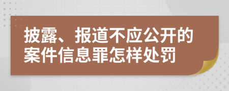 披露、报道不应公开的案件信息罪怎样处罚