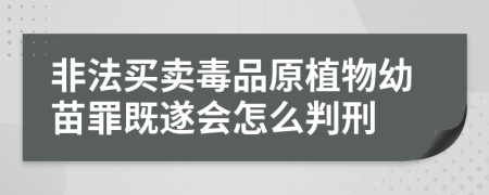 非法买卖毒品原植物幼苗罪既遂会怎么判刑