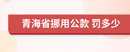 青海省挪用公款 罚多少