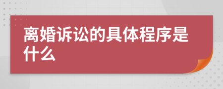 离婚诉讼的具体程序是什么