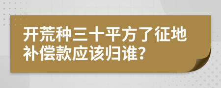 开荒种三十平方了征地补偿款应该归谁？