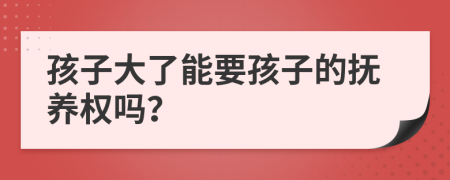 孩子大了能要孩子的抚养权吗？