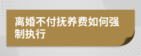 离婚不付抚养费如何强制执行