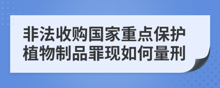 非法收购国家重点保护植物制品罪现如何量刑