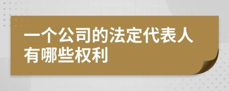 一个公司的法定代表人有哪些权利