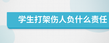 学生打架伤人负什么责任