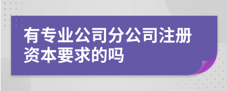 有专业公司分公司注册资本要求的吗