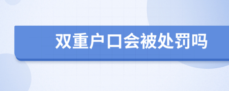 双重户口会被处罚吗