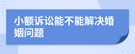 小额诉讼能不能解决婚姻问题