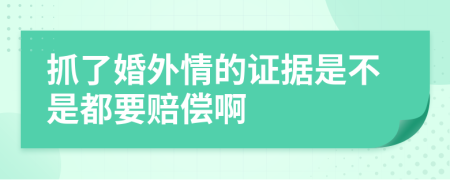 抓了婚外情的证据是不是都要赔偿啊