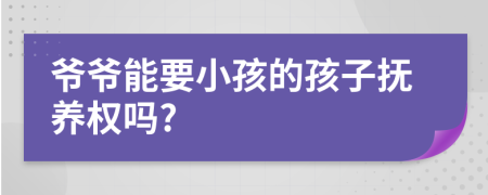 爷爷能要小孩的孩子抚养权吗?