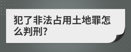 犯了非法占用土地罪怎么判刑?