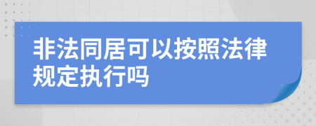 非法同居可以按照法律规定执行吗