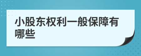 小股东权利一般保障有哪些