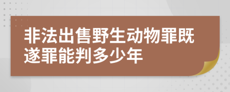 非法出售野生动物罪既遂罪能判多少年