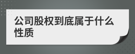 公司股权到底属于什么性质