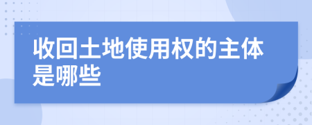 收回土地使用权的主体是哪些