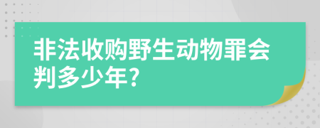 非法收购野生动物罪会判多少年?