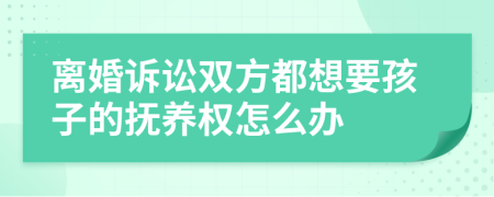 离婚诉讼双方都想要孩子的抚养权怎么办