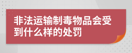 非法运输制毒物品会受到什么样的处罚