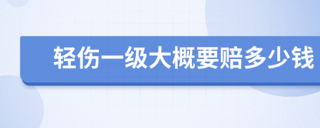 轻伤一级大概要赔多少钱