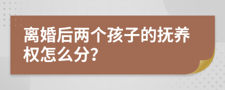 离婚后两个孩子的抚养权怎么分？