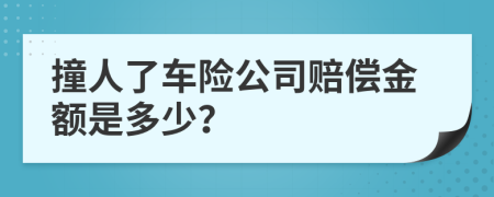 撞人了车险公司赔偿金额是多少？