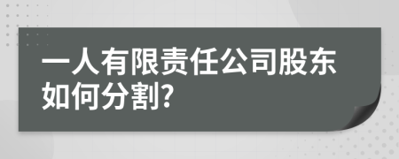 一人有限责任公司股东如何分割?