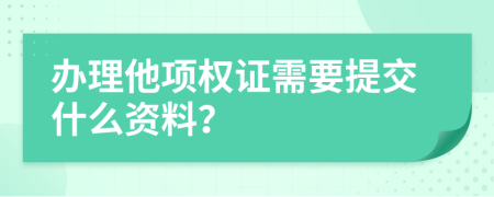 办理他项权证需要提交什么资料？