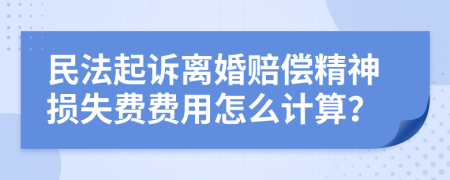 民法起诉离婚赔偿精神损失费费用怎么计算？