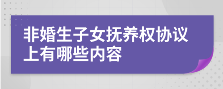 非婚生子女抚养权协议上有哪些内容