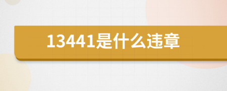 13441是什么违章