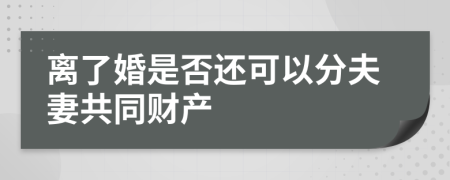 离了婚是否还可以分夫妻共同财产