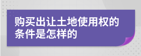 购买出让土地使用权的条件是怎样的