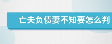 亡夫负债妻不知要怎么判