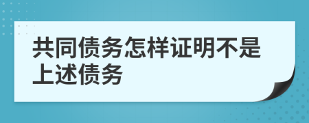 共同债务怎样证明不是上述债务