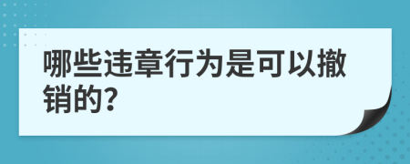 哪些违章行为是可以撤销的？