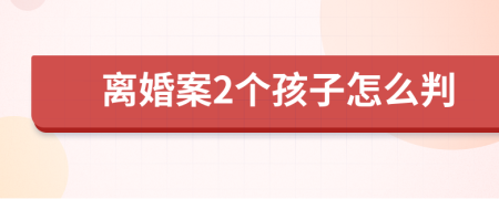 离婚案2个孩子怎么判