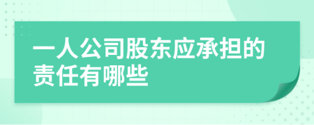 一人公司股东应承担的责任有哪些